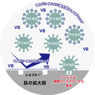 抗ウイルスおしぼり「VB®」で手を拭いた時のイメージ図 抗ウイルスおしぼり「VB®」で手を拭いた時のイメージ図