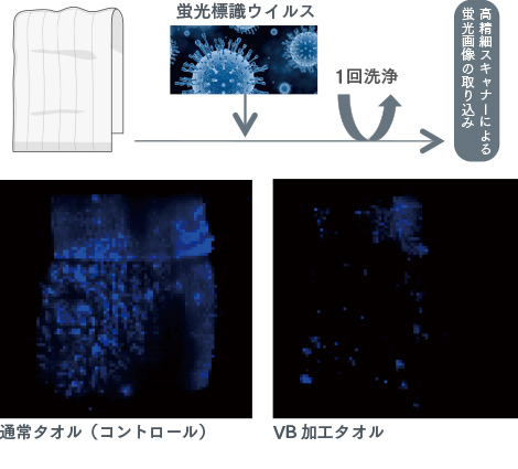光る物質と結合させたウイルス(蛍光標識ウイルス)の溶液にひたし、1回洗浄・乾燥を行ったタオルの比較図。